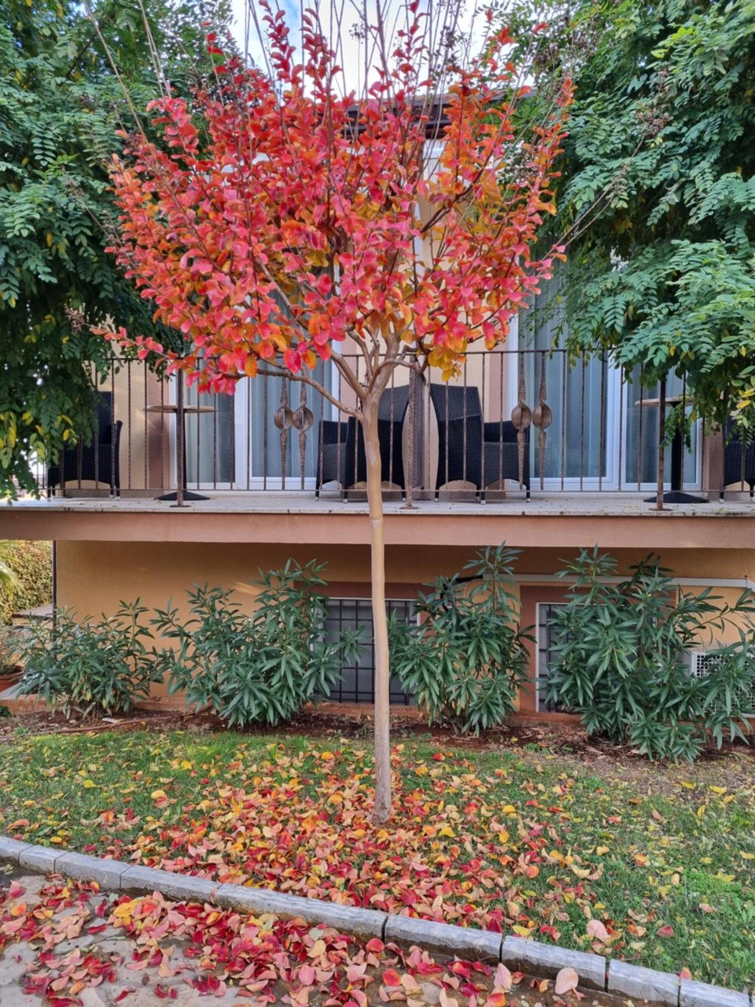 Hotel Zlatna Vala Umag Zewnętrze zdjęcie
